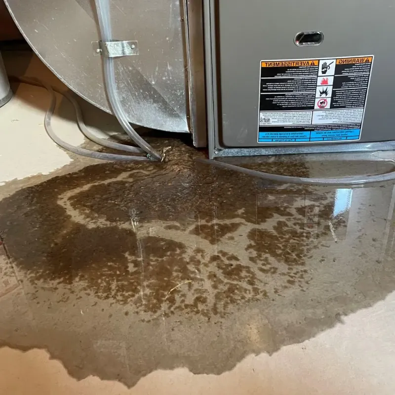 Pipe Burst and Leak Restoration in Cecil County, MD